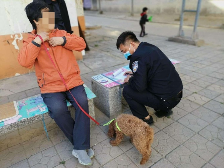 沧州公安正在行动，打击城市不文明养狗的整治